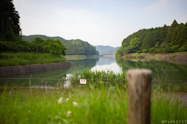 SIGMA 24-35mm F2 DG HSM ARTの開放での撮影