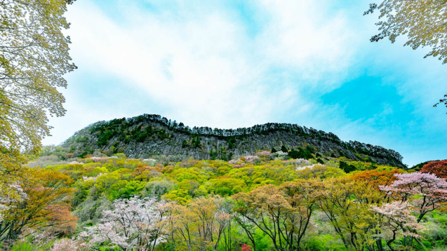 【奈良県】曽爾村の屏風岩公苑にいったよ【桜・撮影スポット】