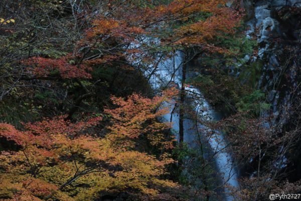 みたらい渓谷　滝　紅葉