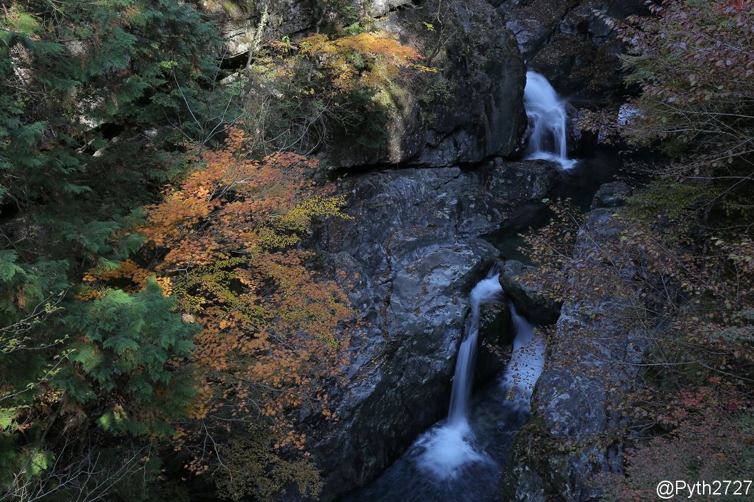 みたらい渓谷の紅葉を見に行きました 奈良県天川村 星を撮りに行く