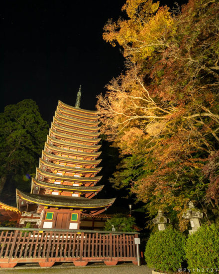 談山神社の紅葉ライトアップ