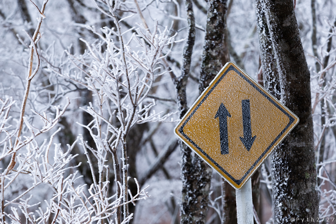 樹氷を探して、閉鎖された大台ケ原ドライブウェイを歩いた話 │ 星を