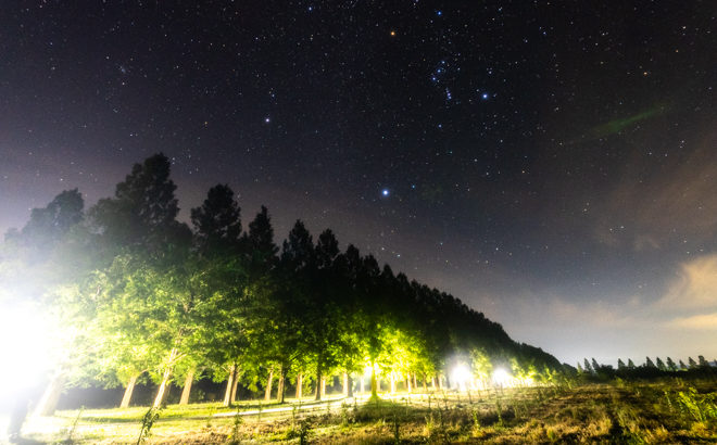 マキノ高原のメタセコイア並木へ星空の撮影に行きました（滋賀県高島市）