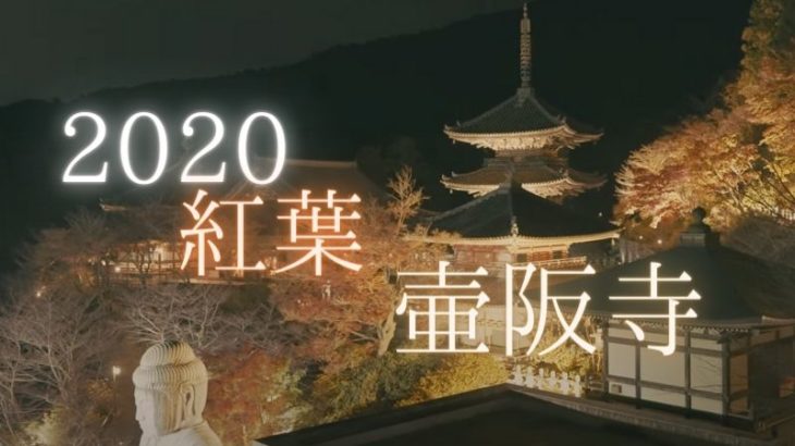 【動画あり】壷阪寺の紅葉とライトアップを撮影に行きました