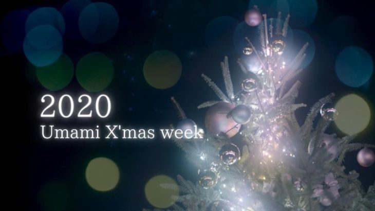 【2020 X’mas】第6回馬見クリスマスウィーク2020のイルミネーション【4K動画】（馬見丘陵公園）