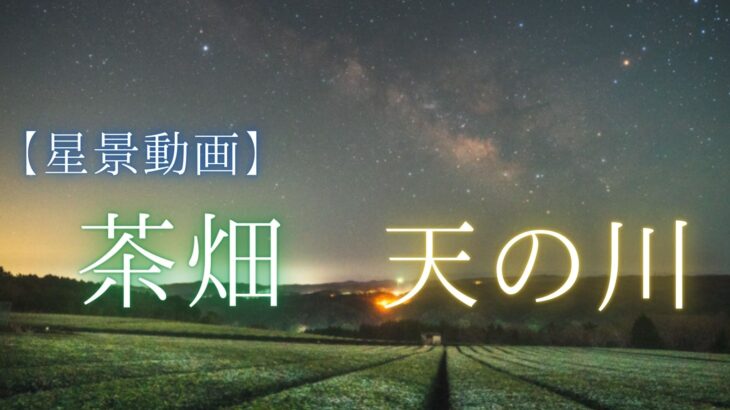 【動画】神野山の茶畑で星空と天の川を動画撮影しました（奈良県山添村）