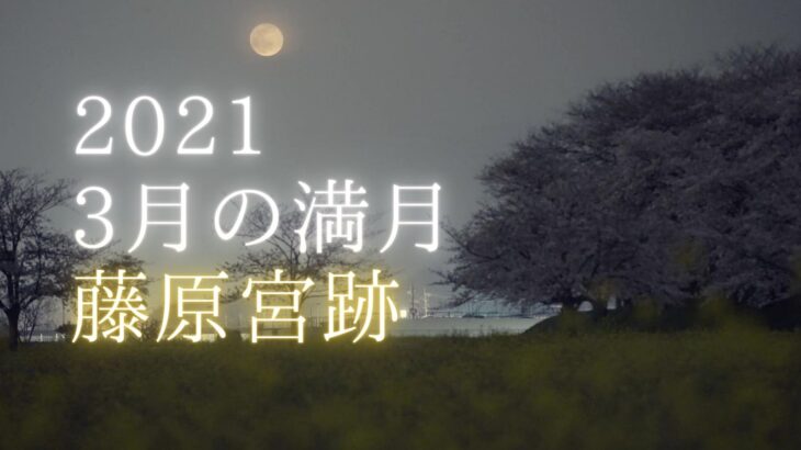 【動画】藤原宮跡の菜の花と桜と3月の満月（ワームムーン）