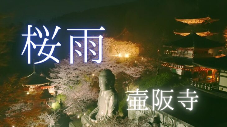 【動画】2021年雨と桜とライトアップの壷阪寺を動画撮影しました。（壺阪山 南法華寺）