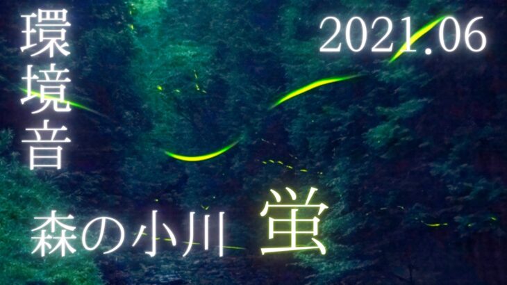 21 森の小川の蛍を動画と写真で撮影しました 三重県 星を撮りに行く