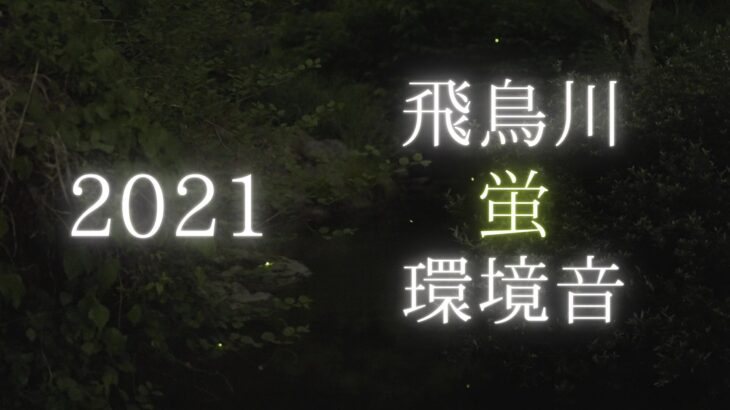 【2021】飛鳥川の源氏蛍を動画撮影しました（奈良県明日香村）