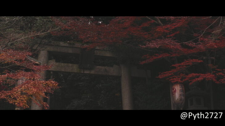 等彌（とみ）神社に紅葉の撮影に行ってきました。