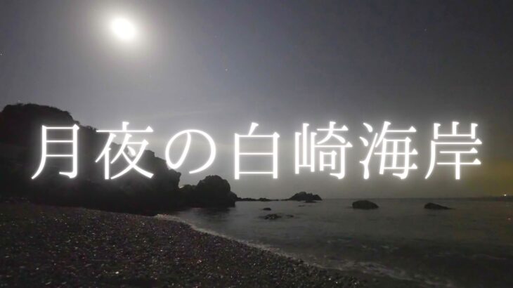 月の夜のシャクシの浜（白崎海岸・白崎海洋公園）
