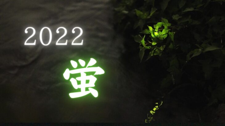 2022年、奈良県で見つけた蛍を動画撮影