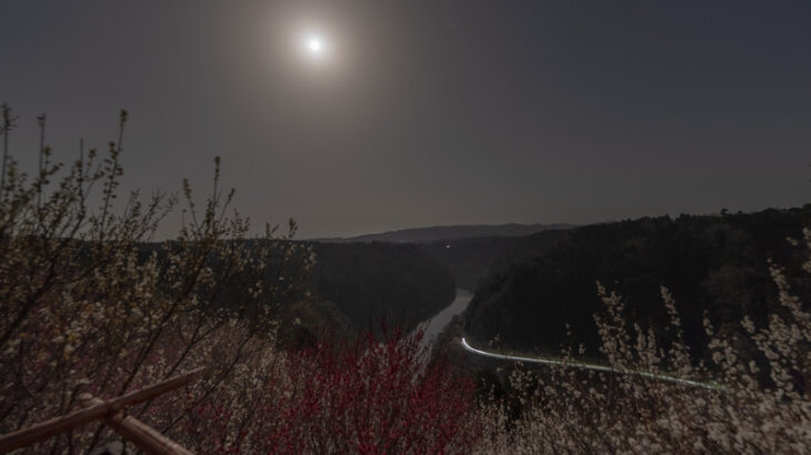 2023年3月10日、月夜の月ヶ瀬梅渓を写真と動画で撮影しました