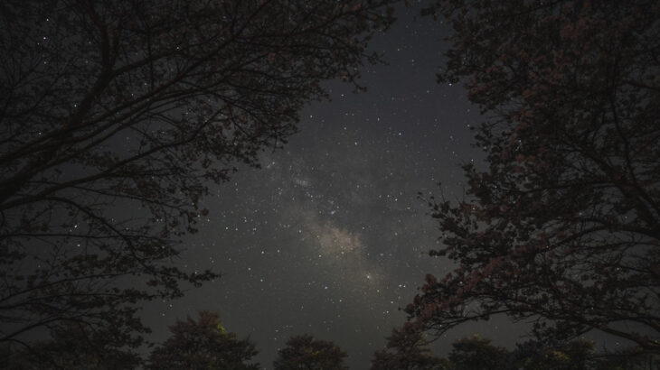 宇陀川の桜並木で見た星空と天の川