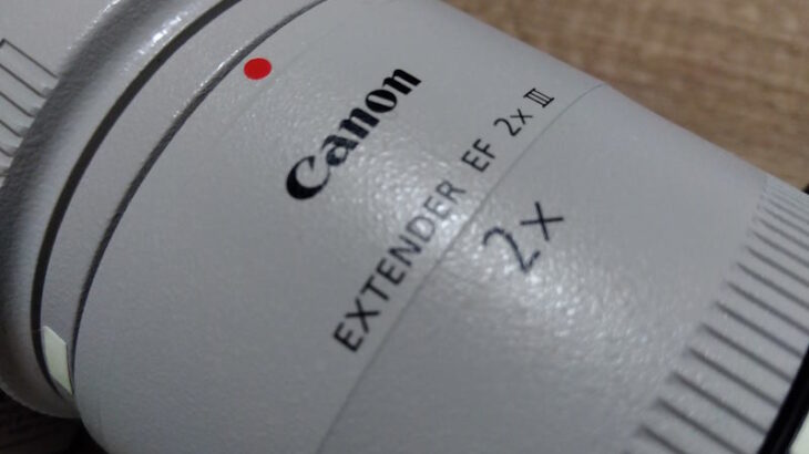 低画素カメラでのテレコンの画質比較、使用感など（CANON EXTENDER EF2×III）【レビュー】