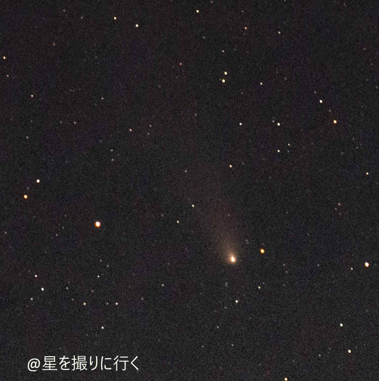 2024/11/12 月明かり紫金山・アトラス彗星