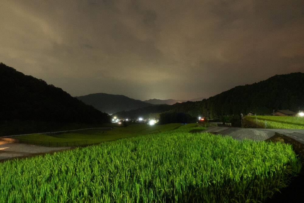 深野棚田　夜景
