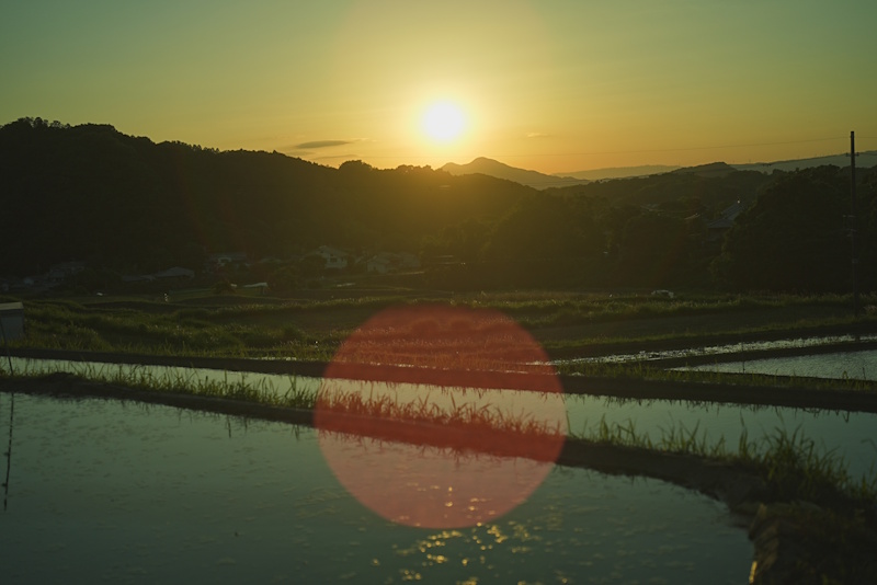 KENKO ノスタルトーングリーン　作例　夕日