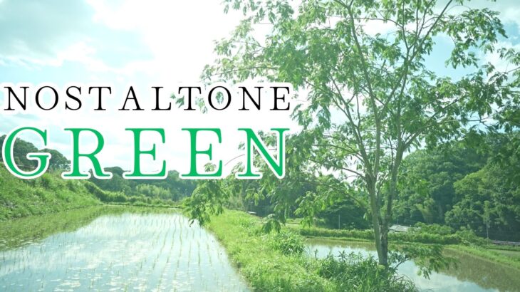KENKOノスタルトーングリーンの使用感・作例・比較など│レビュー(NOSTALTONE GREEN)